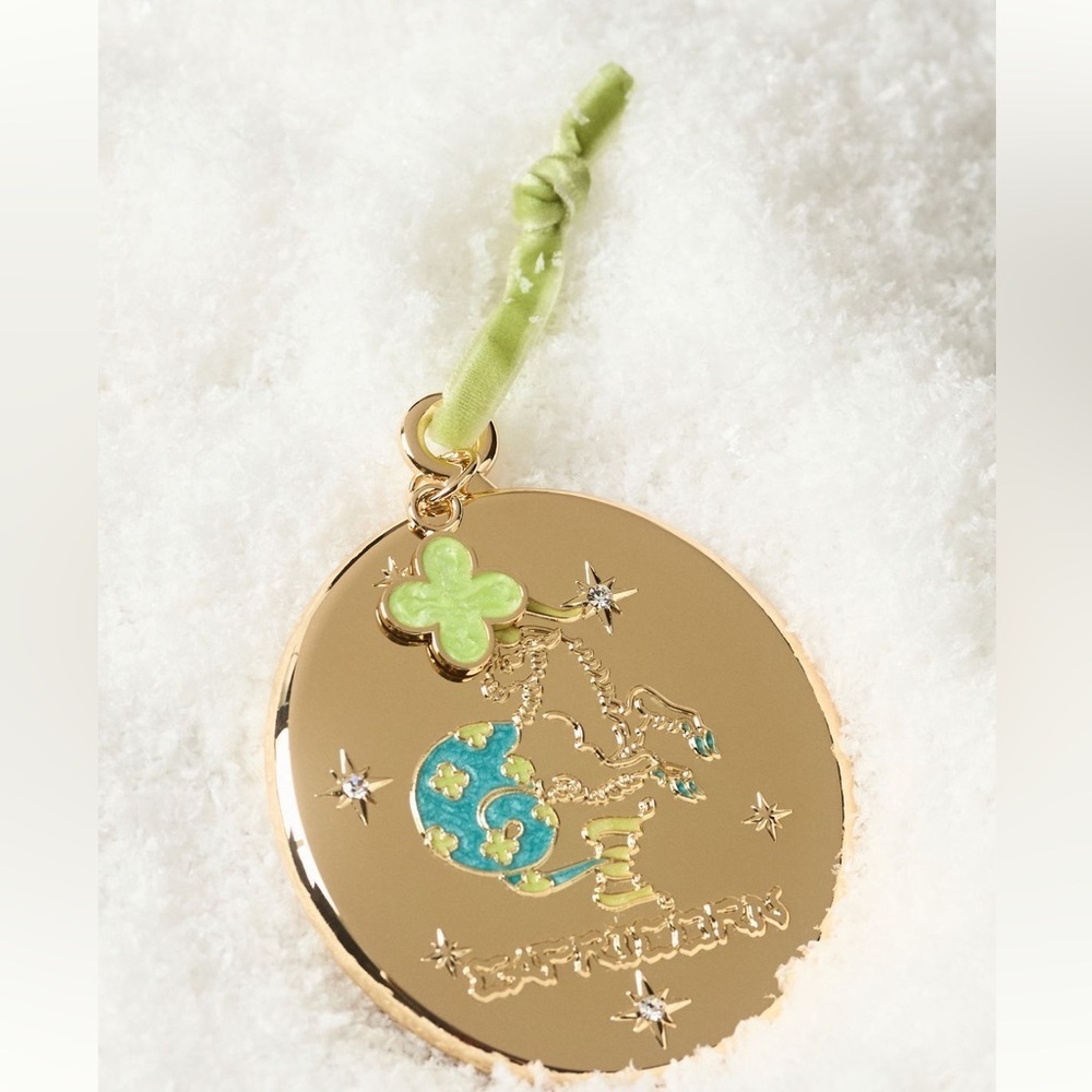 Anthropologie Lou benesch stargazer CAPRICORN zodiac ornament NWT - Picture 1 of 4
